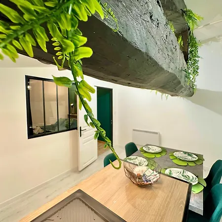 L'atypique Jungle - Hyper Centre - Refait A Neuf * ロシュフォール