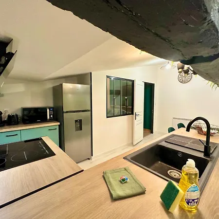 L'atypique Jungle - Hyper Centre - Refait A Neuf *