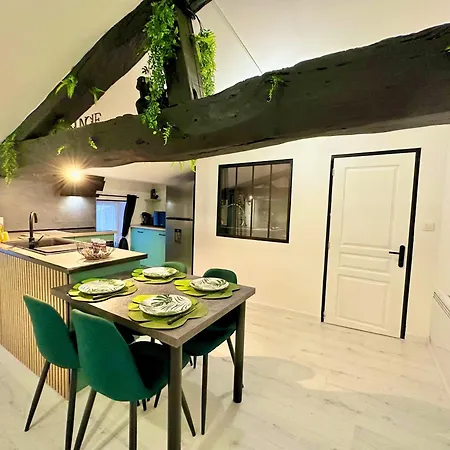 L'atypique Jungle - Hyper Centre - Refait A Neuf شقة روشفور