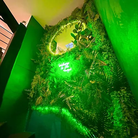 شقة L'atypique Jungle - Hyper Centre - Refait A Neuf روشفور