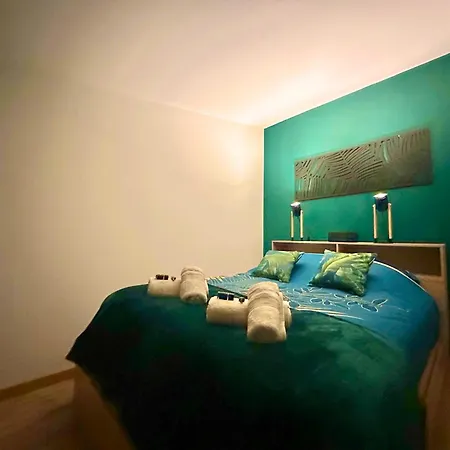 L'atypique Jungle - Hyper Centre - Refait A Neuf *