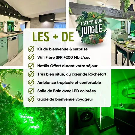 アパート L'atypique Jungle - Hyper Centre - Refait A Neuf *