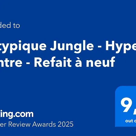 L'atypique Jungle - Hyper Centre - Refait A Neuf アパート ロシュフォール